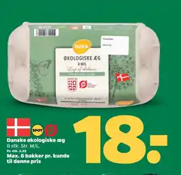 Netto DAVA Danske økologiske æg tilbud