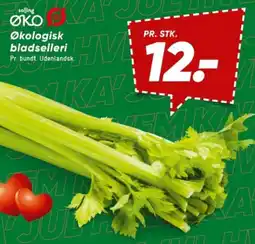 Bilka Økologisk bladselleri tilbud