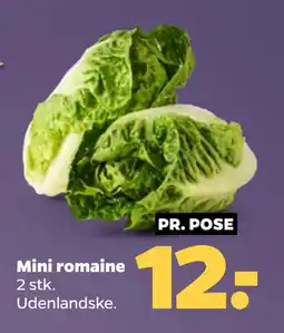 Netto Mini romaine tilbud