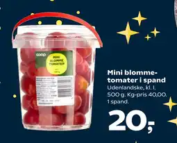 SuperBrugsen Mini blommetomater i spand tilbud
