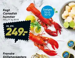 Bilka Kogt Canadisk hummer tilbud