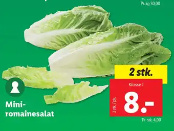 Lidl Mini- romainesalat tilbud