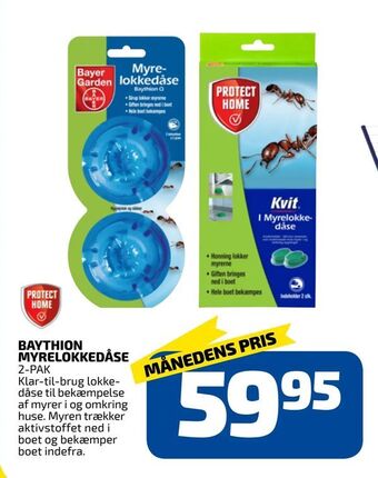 Baythion myrelokkedåse