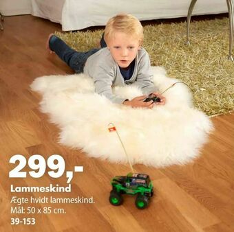 Biltema Lammeskind tilbud