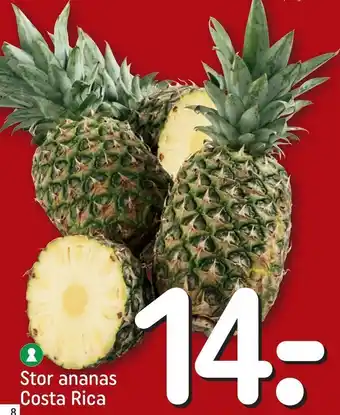 REMA 1000 Stor ananas tilbud