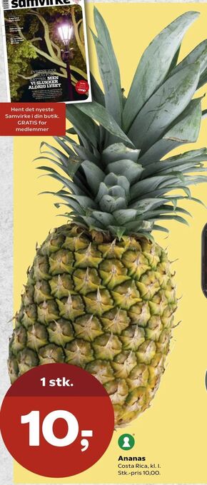 SuperBrugsen Ananas tilbud