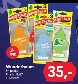BigDollar Wunderbaum tilbud