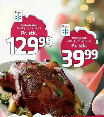 Fleggaard Berberie And tilbud