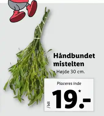 Håndbundet mistelten