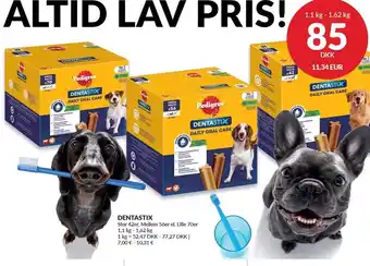 Nielsen's Discount DENTASTIX tilbud