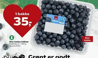 Kvickly Stor bakke blåbær tilbud