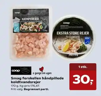 Smag forskellen håndpillede koldtvandsrejer