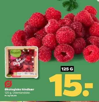 Netto Økologiske hindbær tilbud