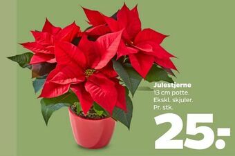 Netto Julestjerne tilbud