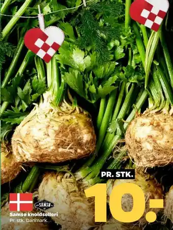Netto Samsø knoldselleri tilbud