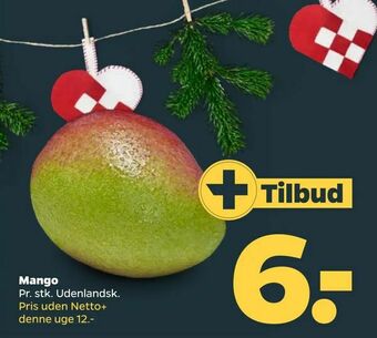 Netto Mango tilbud