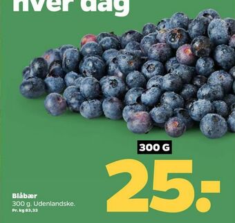 Netto Blåbær tilbud