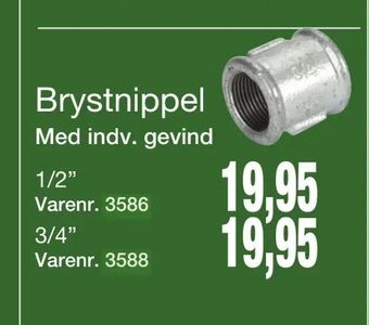 Brystnippel