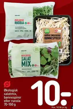 REMA 1000 Økologisk salatmix, bønnespirer eller rucola tilbud