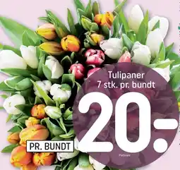 REMA 1000 Tulipaner tilbud