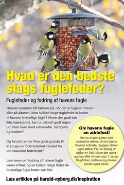 Harald Nyborg Hvad er den bedste slags fuglefoder? tilbud