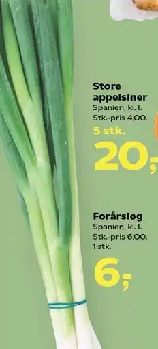 Kvickly Forårsløg tilbud