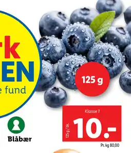 Lidl Blåbær tilbud