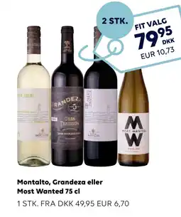 Scandlines Travel Shop Montalto, Grandeza eller Most Wanted 75 cl tilbud