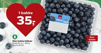 SuperBrugsen Stor bakke blåbær tilbud