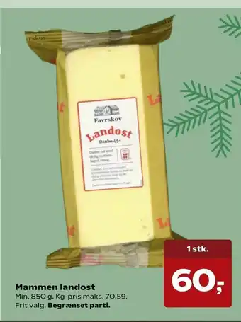 SuperBrugsen Mammen landost tilbud
