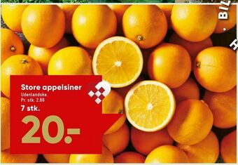 Bilka Store appelsiner tilbud