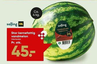 Bilka Stor kernefattig vandmelon tilbud