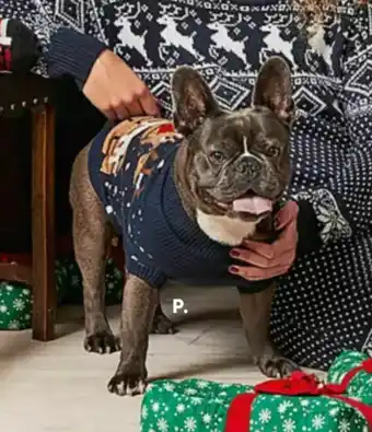 Bilka Jumper til hund tilbud
