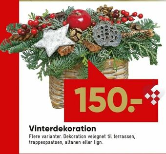 Bilka Vinter dekoration tilbud