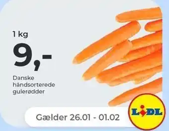 Netto Danske gulerødder tilbud