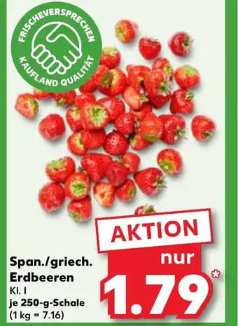 Kaufland Span./griech. erdbeeren tilbud