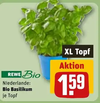 REWE Niederlande: Bio Basilikum je Topf tilbud