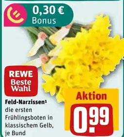 REWE Feld-Narzissen¹ tilbud