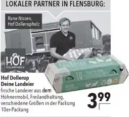 Citti Hof Dollerup Deine Landeier tilbud