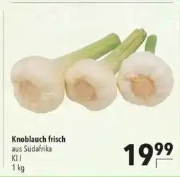 Citti Knoblauch frisch tilbud