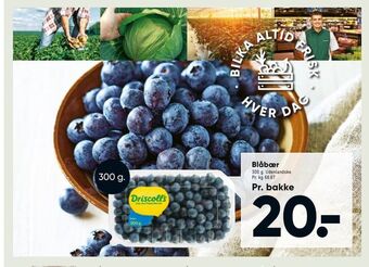 Bilka Blåbær tilbud