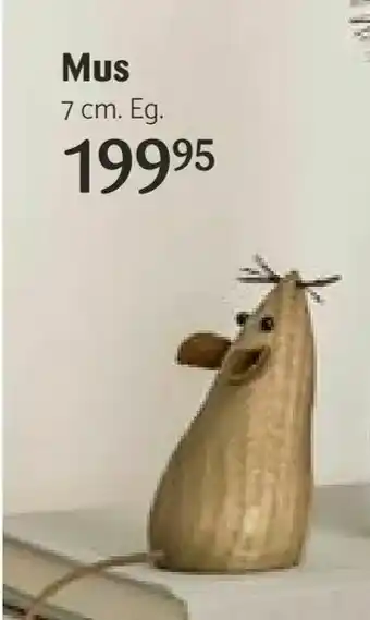 Mus