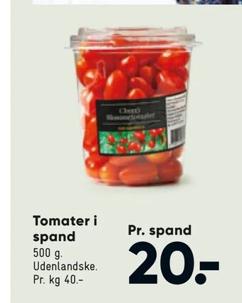 Bilka Tomater i spand tilbud