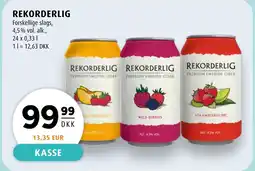 Scandinavian Park REKORDERLIG tilbud