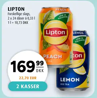 Scandinavian Park LIPTON tilbud