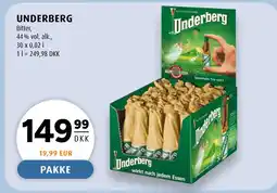 Scandinavian Park UNDERBERG tilbud