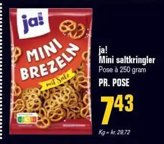 Poetzsch Padborg ja! Mini saltkringler tilbud