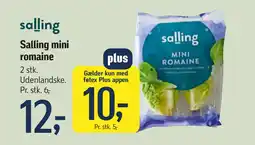 Føtex Salling mini romaine tilbud