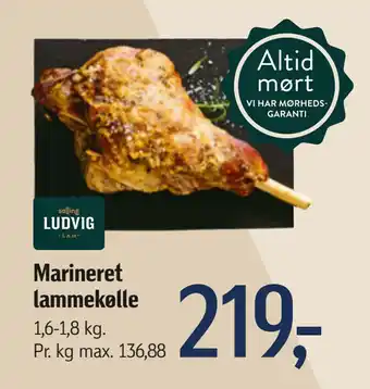 Føtex Marineret lammekølle tilbud