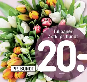 REMA 1000 Tulipaner tilbud